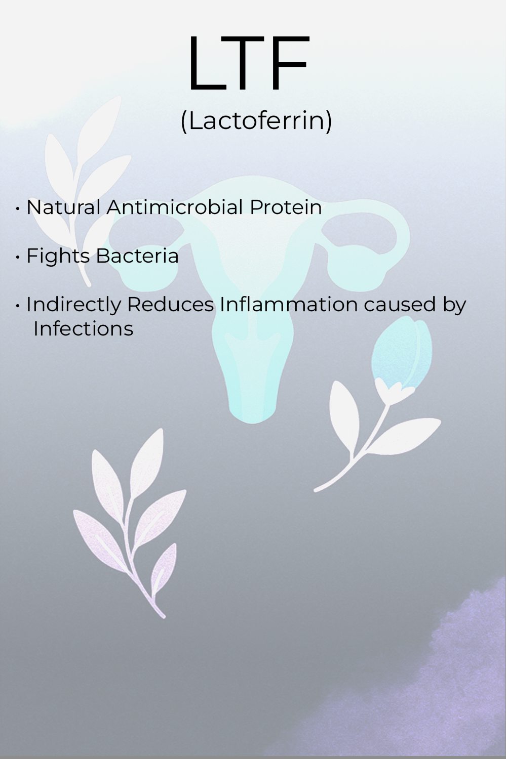 Lactoferrin (LTF) overview